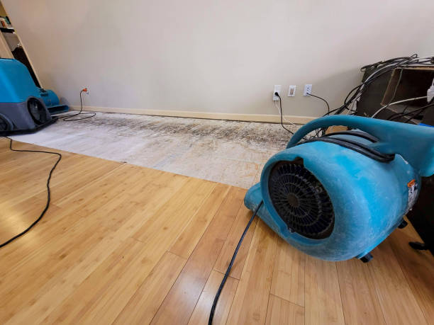 Professional Water Damage Repair technician working in Winterport, ME